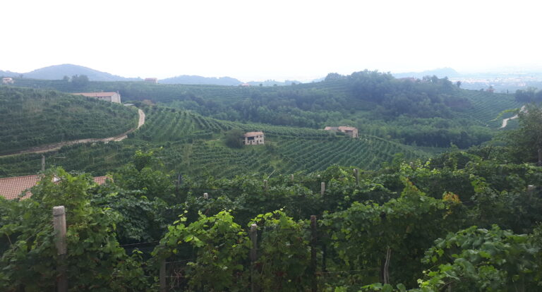 Zielona kraina prosecco – Valdobbiadene i Conegliano