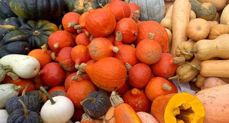 Jesienne pierogi z pieczoną dynią