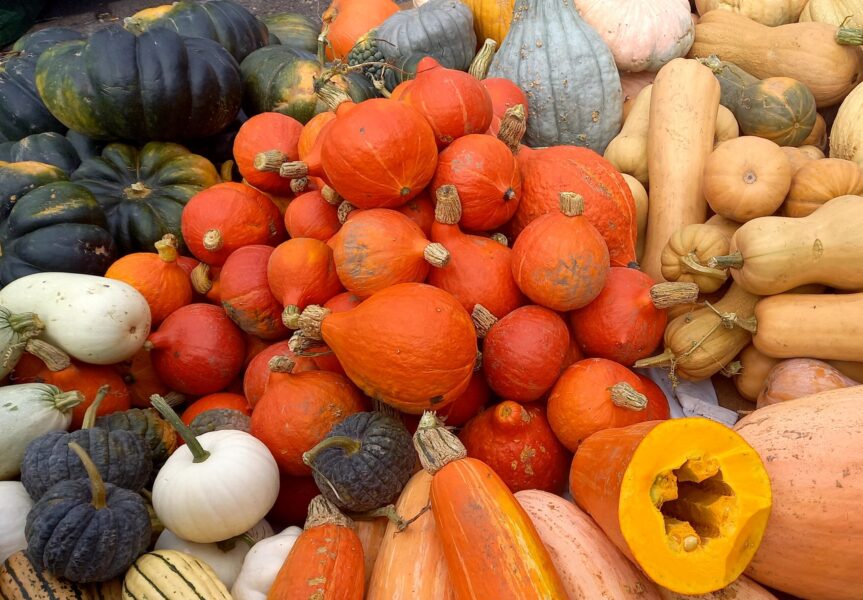 Jesienne pierogi z pieczoną dynią