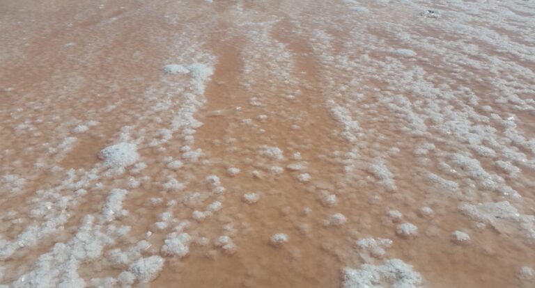 Białe złoto Sycylii – saliny z Nubii