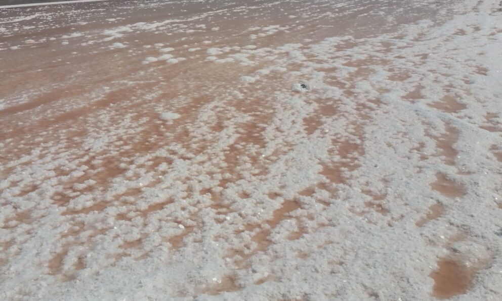 Białe złoto Sycylii – saliny z Nubii