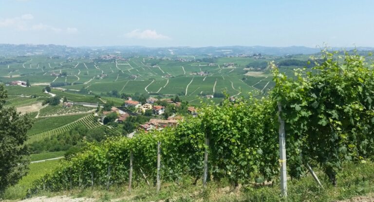 Odkrywamy Piemont mniej znany. Palazzina di Stupinigi i Lange