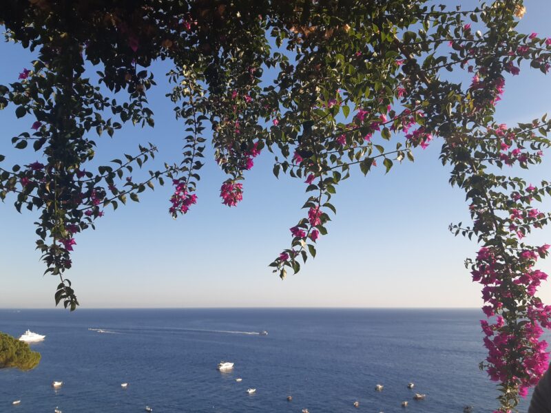 Meraviglioso – dobro wokół nas