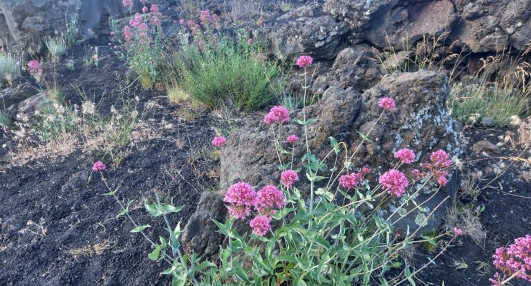 Serce Sycylii – Etna