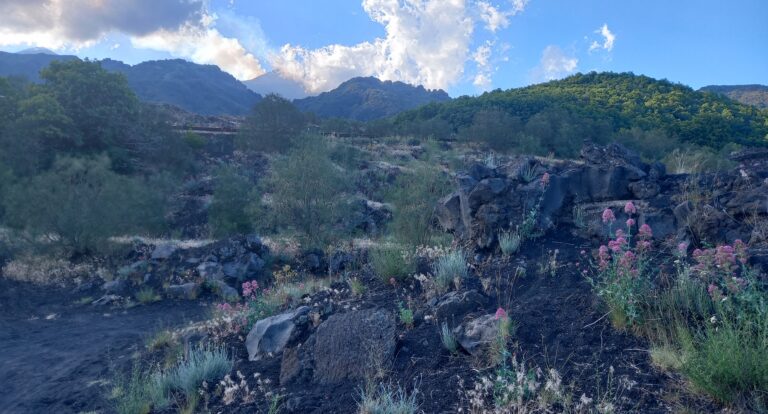 Serce Sycylii – Etna