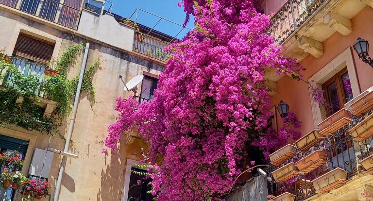 Ponad modrych mórz zwierciadłem błyszczy w górze – TAORMINA