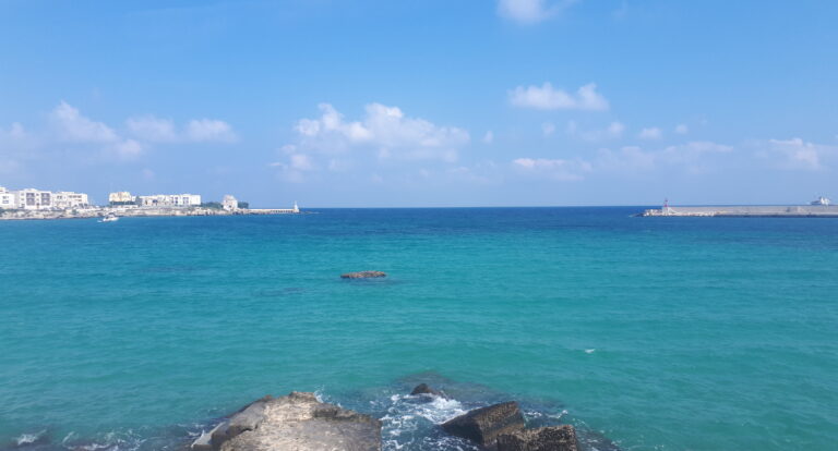 Meraviglioso – dobro wokół nas