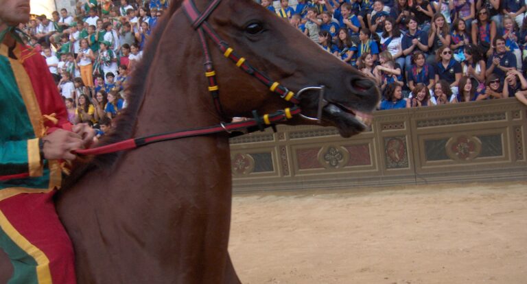 Prawdziwe oblicze Sieny – Palio