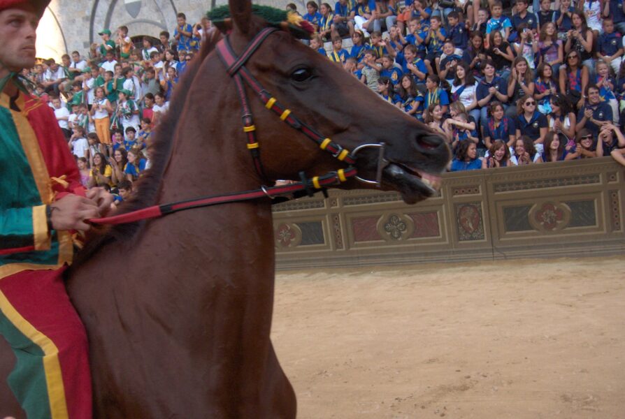 Prawdziwe oblicze Sieny – Palio
