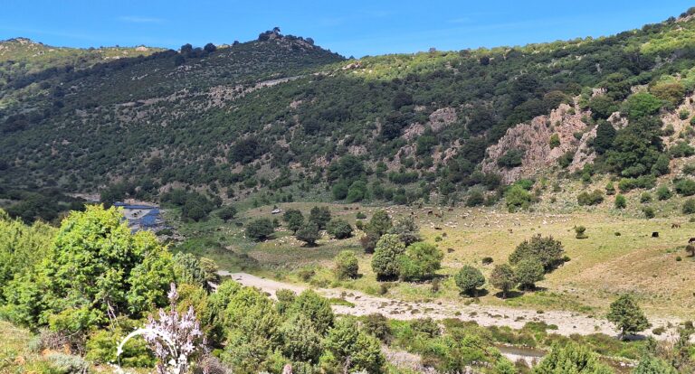 Route SS125 – sardyńskie drogi