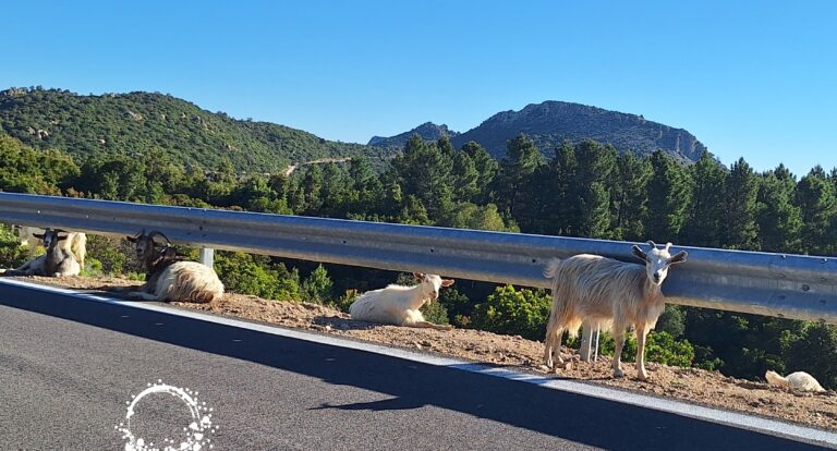 Route SS125 – sardyńskie drogi