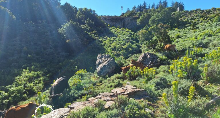 Route SS125 – sardyńskie drogi