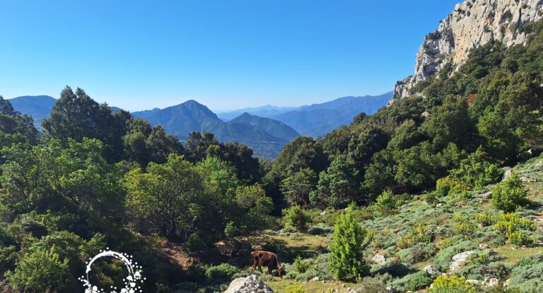 Route SS125 – sardyńskie drogi