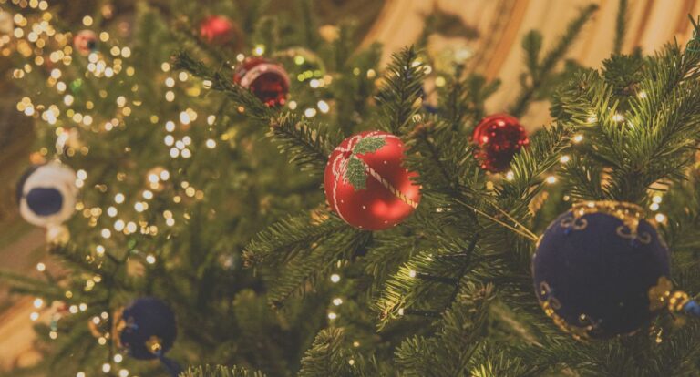 Wydarzenie 2024 roku – premiera książki