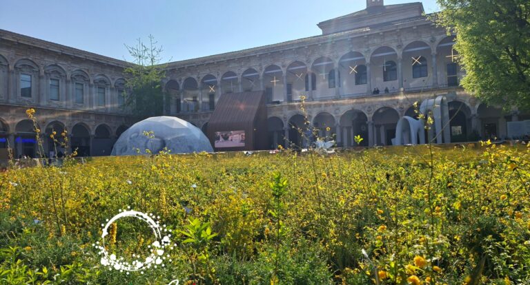 Maj — czas matur, wyborów i decyzji. Jak studia w Italii zmieniły moje życie.