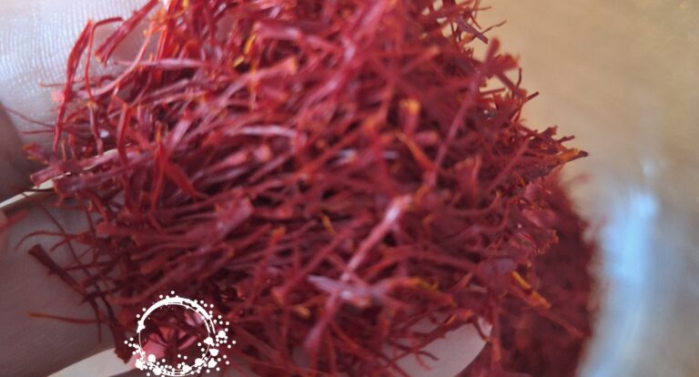 Smak Mediolanu – risotto giallo