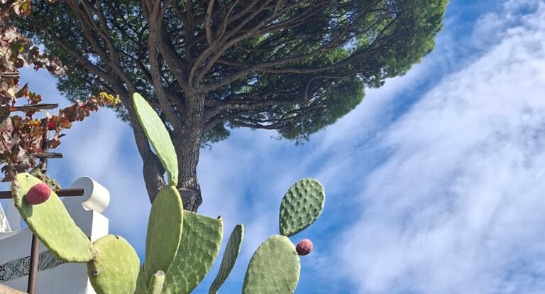 Ścieżka Bogów – Sentiero degli Dei. Nasz trekking z Bomerano do Positano