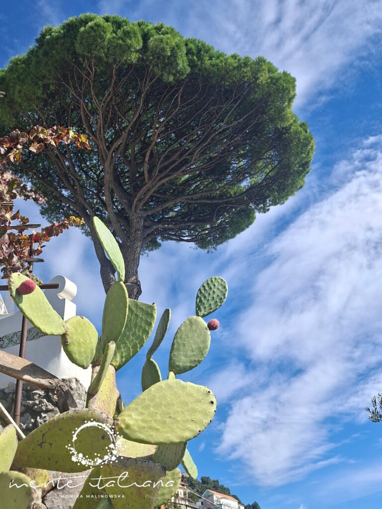 Made with LogoLicious Add Your Logo App